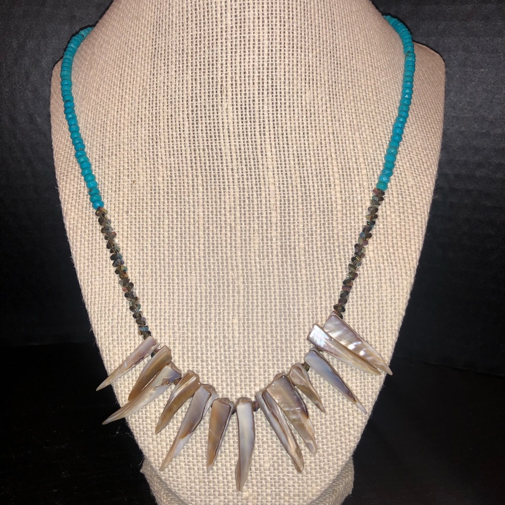 Shell on turquoise